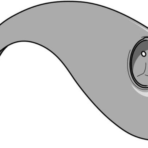 Wing Front Right European 1303